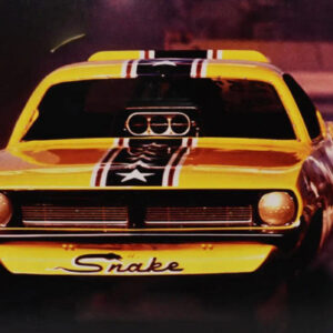 Hot Wheels Legends to Life Don The Snake - Uncle Al's Toys